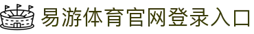 易游·(中国区)体育官网入口-YY SPORTS